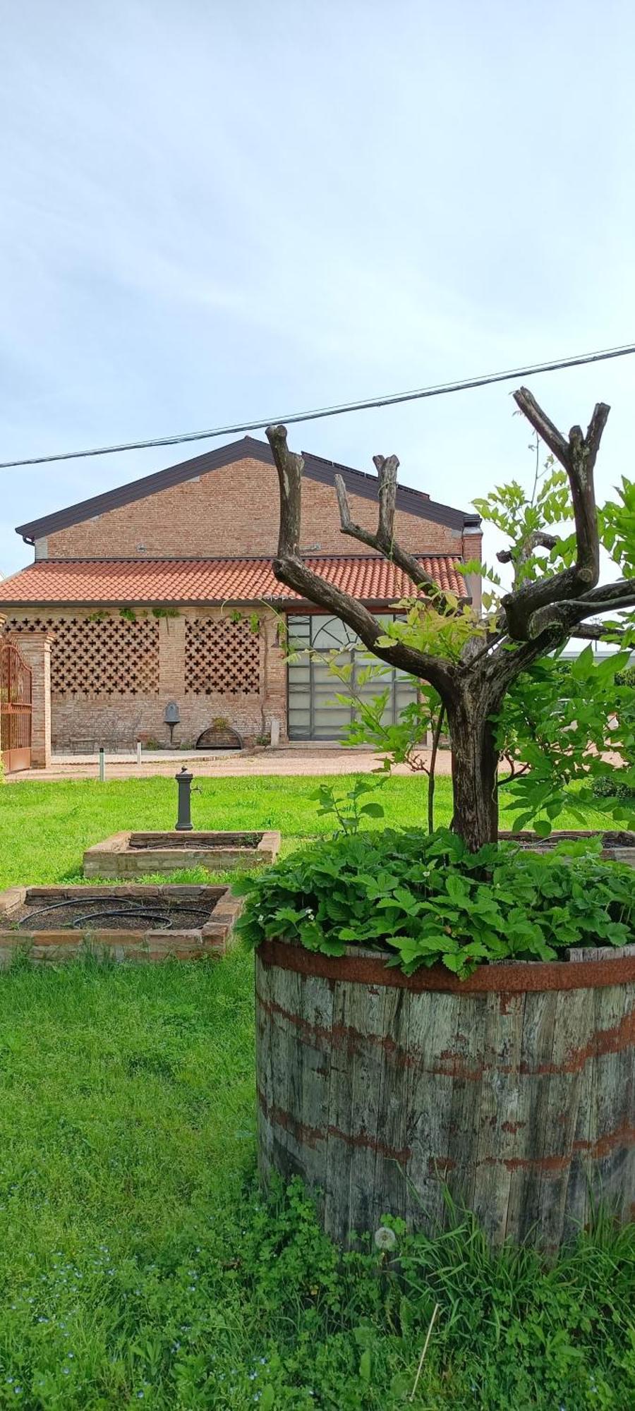 B&B Rocambola Nogara Extérieur photo